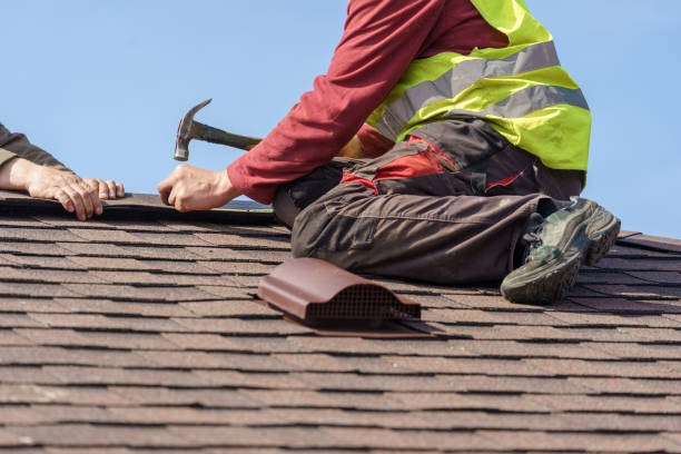 Best Roof Gutter Cleaning  in Little Falls, NY
